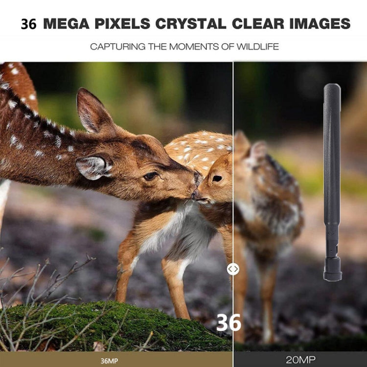 HC-801Pro 4K 4G Outdoor Hunting Camera App Remote Mobile Phone Control To View Photos And Video At Any Time, AU Plug by bashfashion