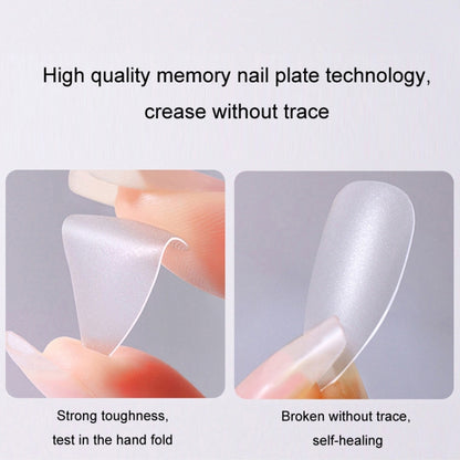 10pairs Of 100pcs/Box Frosted False Nails Artificial Tip, Shape: Long Ladder L by bashfashion